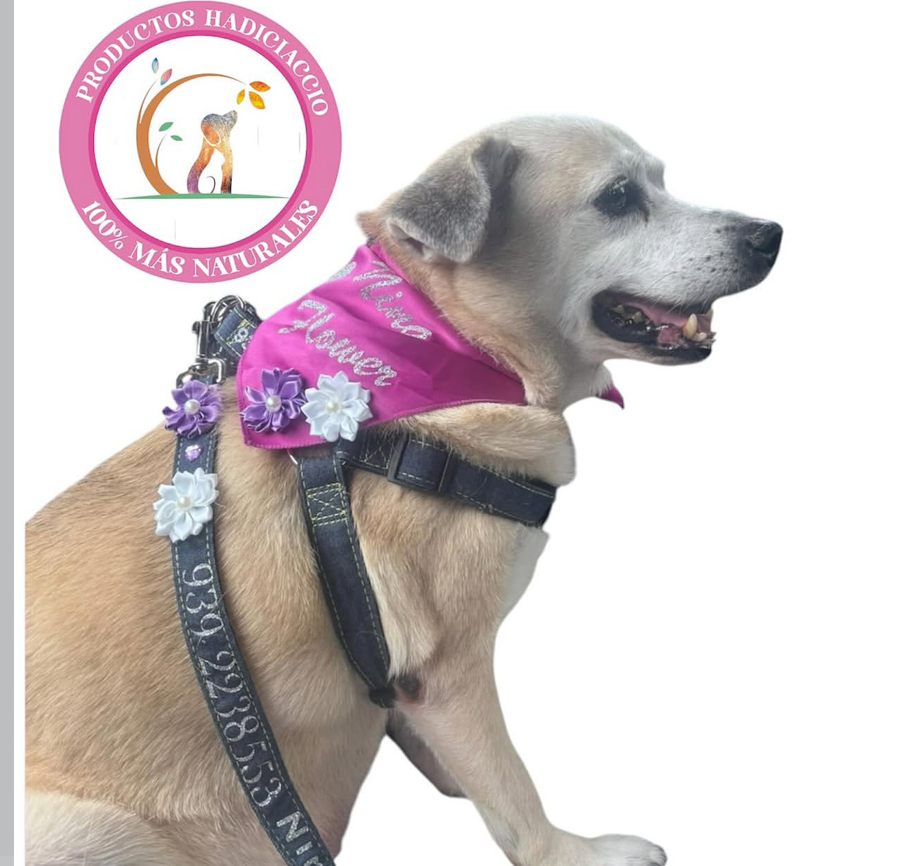 Bandanas personalizadas para mascotas HADICIACCIO