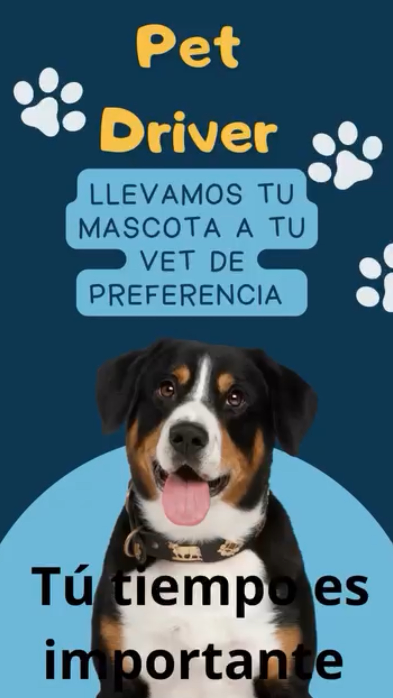 Flyer Pet Driver: llevamos tu mascota a tu vet de preferencia